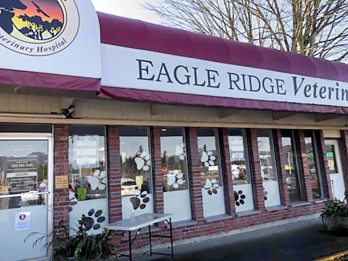 Eagle Ridge Veterinary Hospital in Sechelt